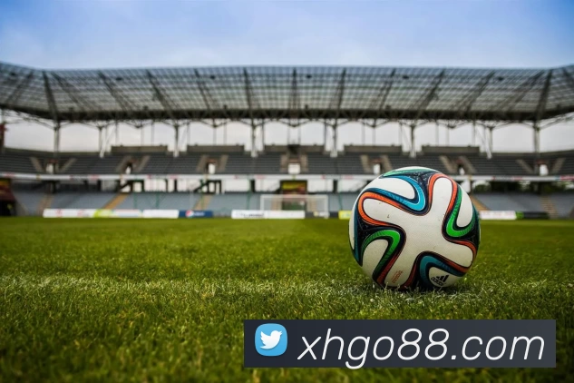 新航娱乐官网平台生态图