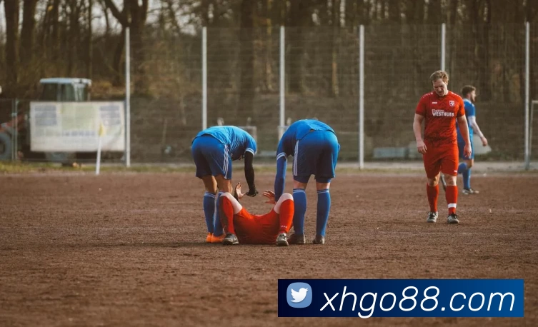 新航娱乐官网APP 封面图